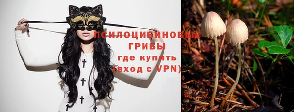 дмт Алексеевка