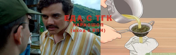 хмурый Пионерский