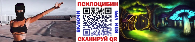 где купить наркоту  Павлово  mega как войти  Галлюциногенные грибы GOLDEN TEACHER 